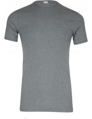 Lot de 2 Tee-shirts col rond coton Gris