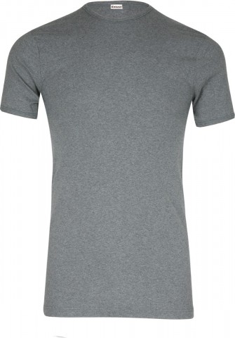 Lot de 2 Tee-shirts col rond coton Gris