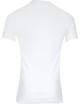 Lot de 2 Tee-shirts col rond coton Blanc