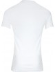 Lot de 2 Tee-shirts col rond coton Blanc