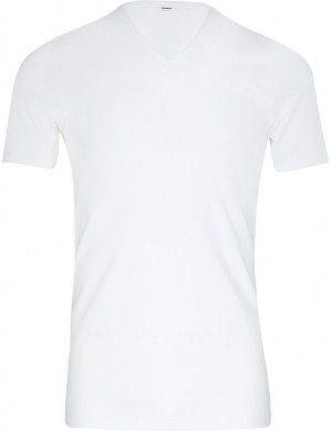 Lot de 2 Tee-shirts col V coton Blanc