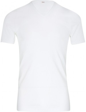 Set of 2 Classic Cotton V-Neck T-shirts