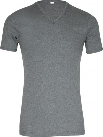 Lot de 2 Tee-shirts col V coton Gris
